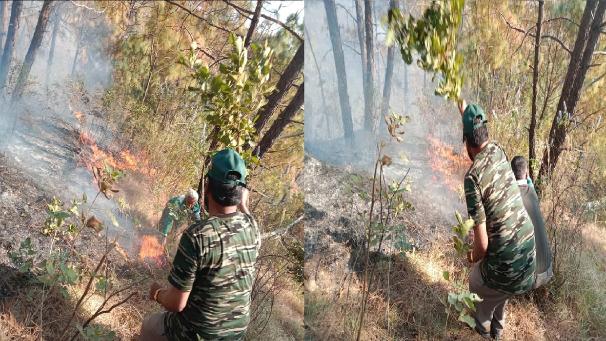 Forest fire broke out at 26 places in Uttarakhand in 24 hours