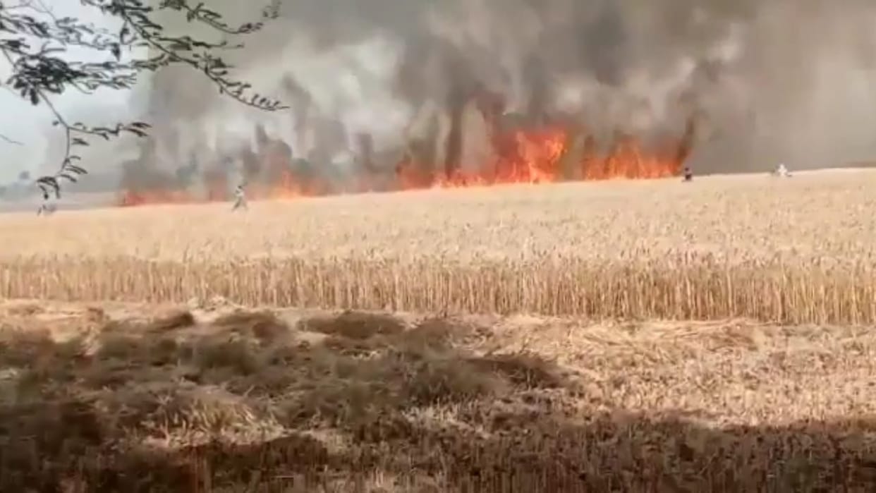 24 bighas of crop destroyed by spark emanating from wire
