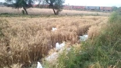 Jhansi Miscreants robbing sugar from goods train clashed with RPF one injured by police bullets