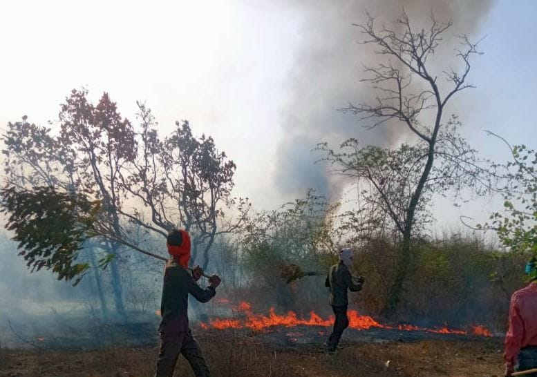 The bushes on the side of the track kept smoldering, trains kept passing
