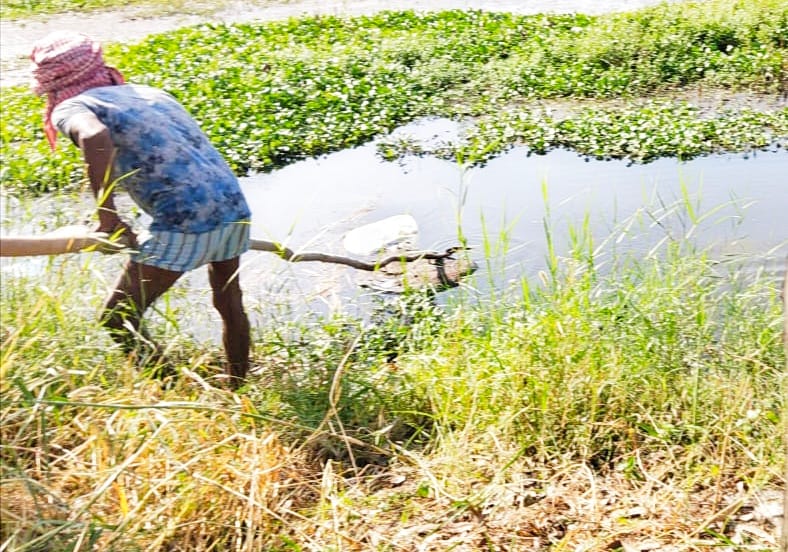 Remains of animals found in sacks floating in Gomti river