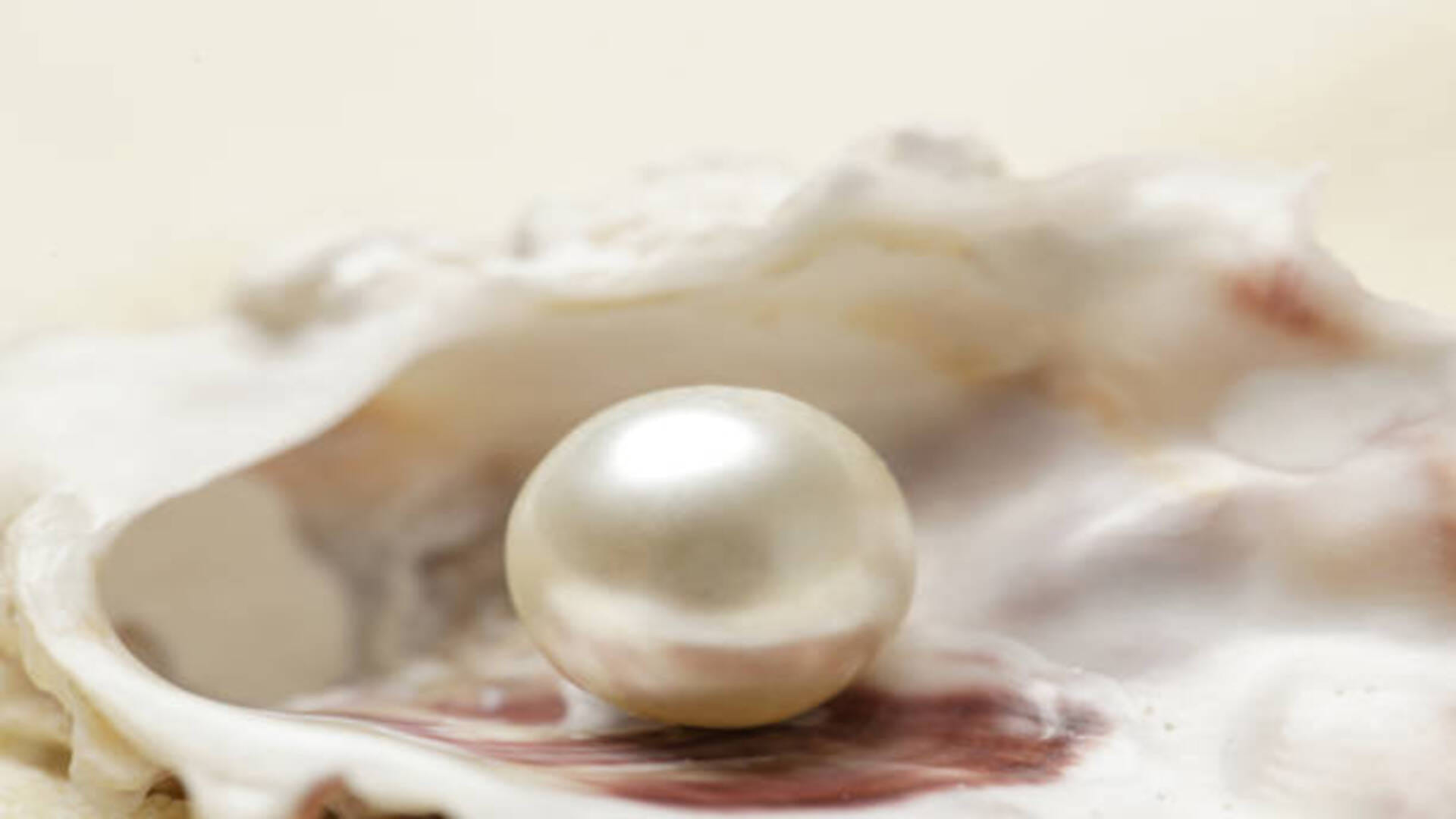 Pearl Stone Benefits Know Who Can Wear Moti Gemstone And What Its Benefits And Side Effects in hindi