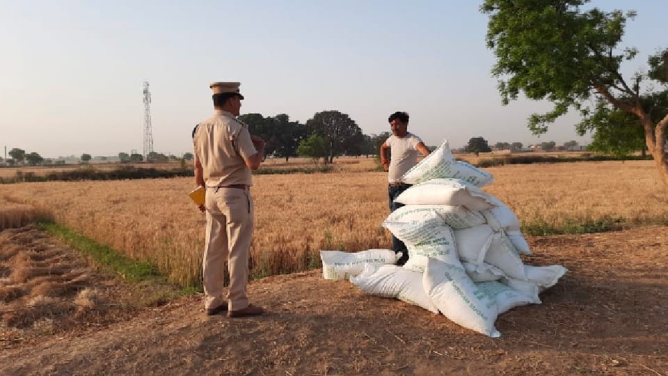 Morena: In morena, miscreants looted sacks of sugar from a goods train, bullets fired on police