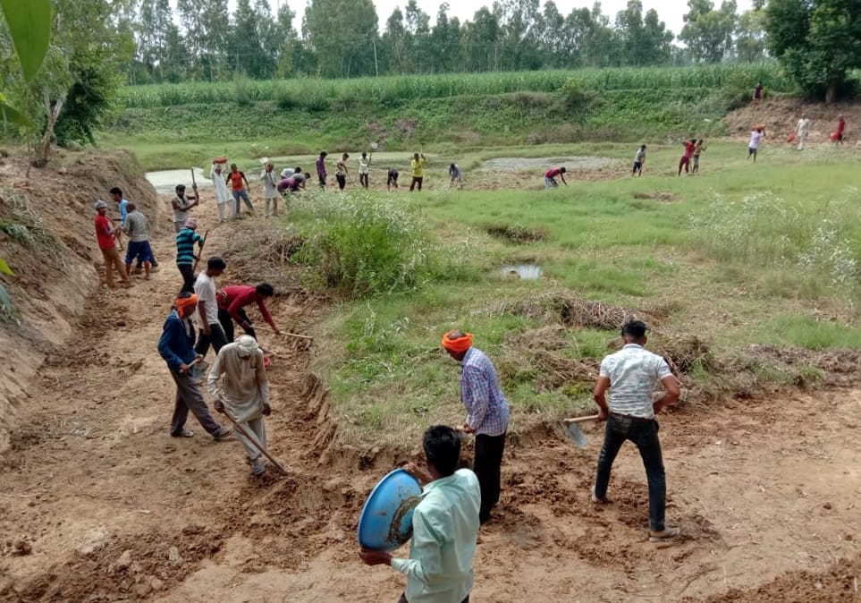 334 ponds that have lost their existence returned to natural form
