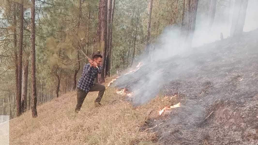 Fire At Bageshwar Forest