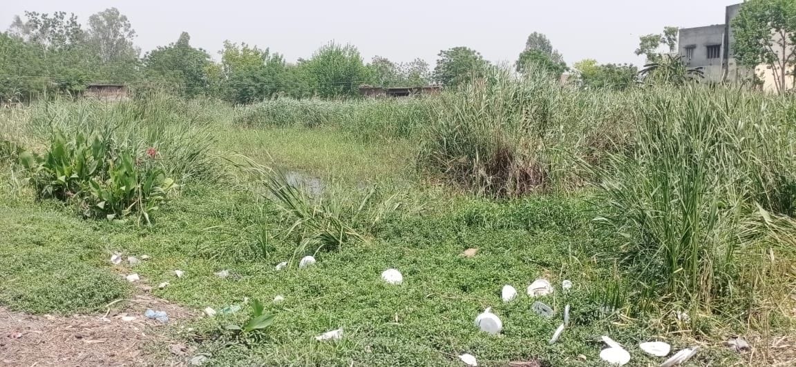 Existence of ponds ending due to constipation