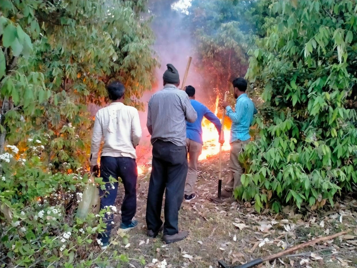 Fire breaks out in the forest of Kranteshwar compartment