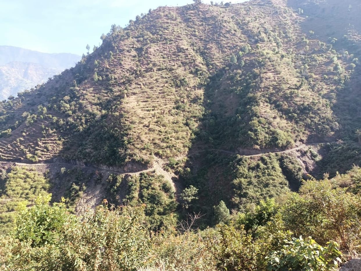 Two agencies could not build three km long road even in four years