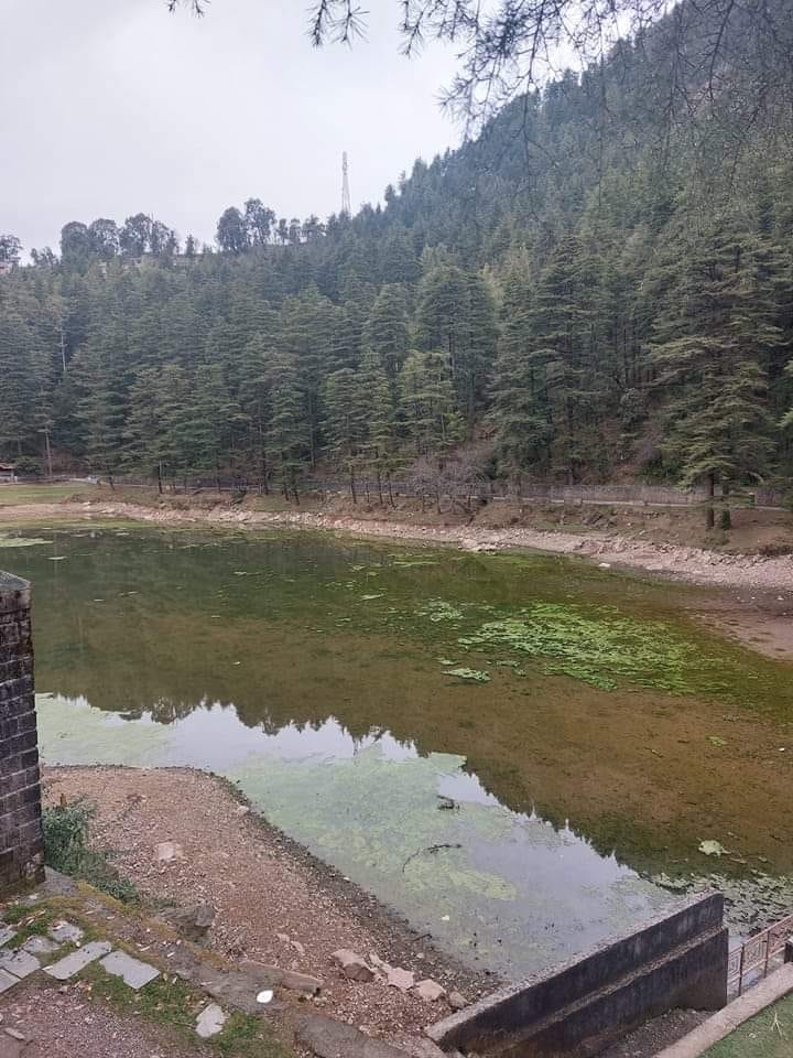 Dal lake will dry completely in four or five days
