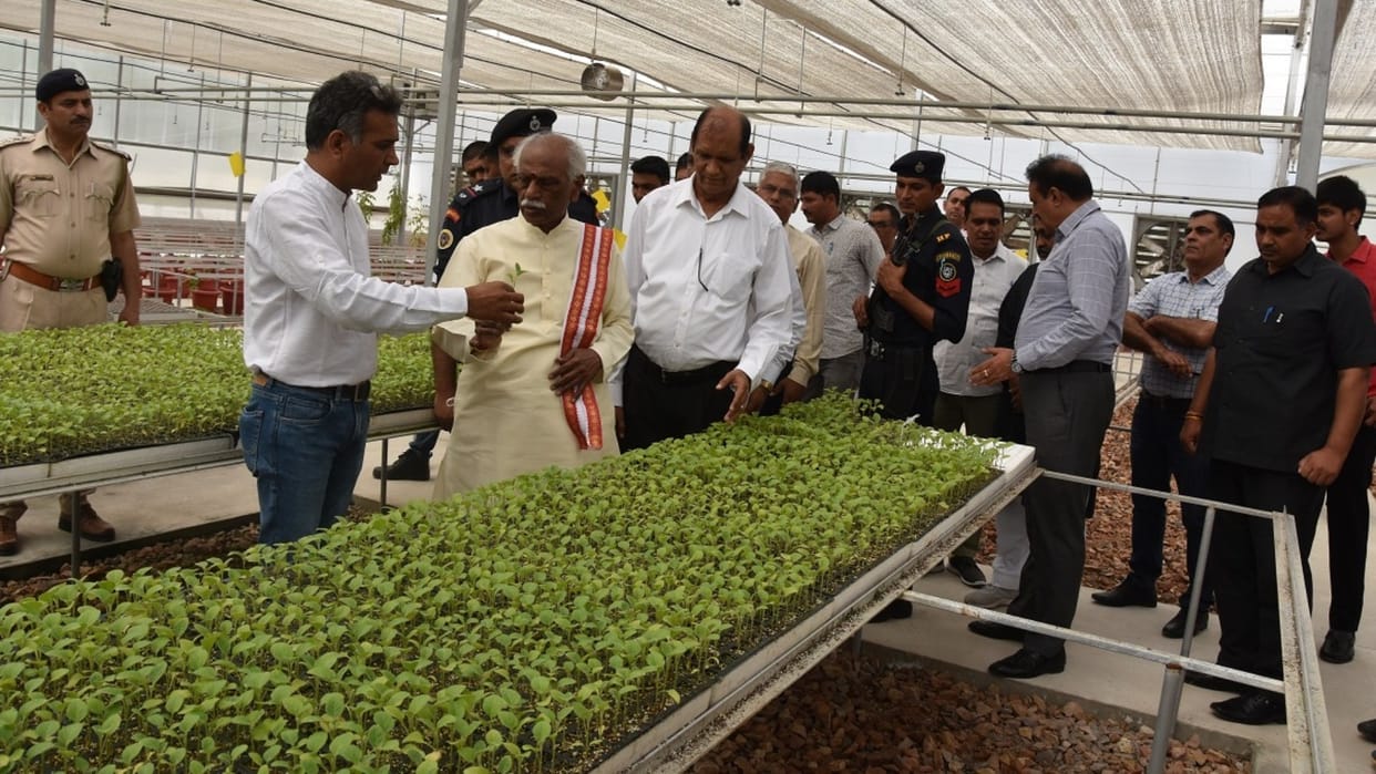 Haryana Governor Bandaru Dattatreya visits Regional Mushroom Research Center at Murthal