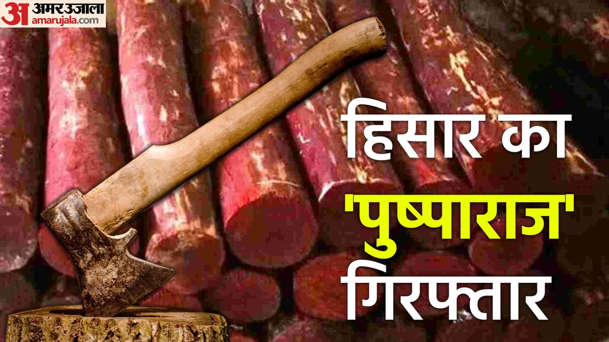 Hisar CIA team has recovered large quantity of red sandalwood sticks from Mangalali Jatan village