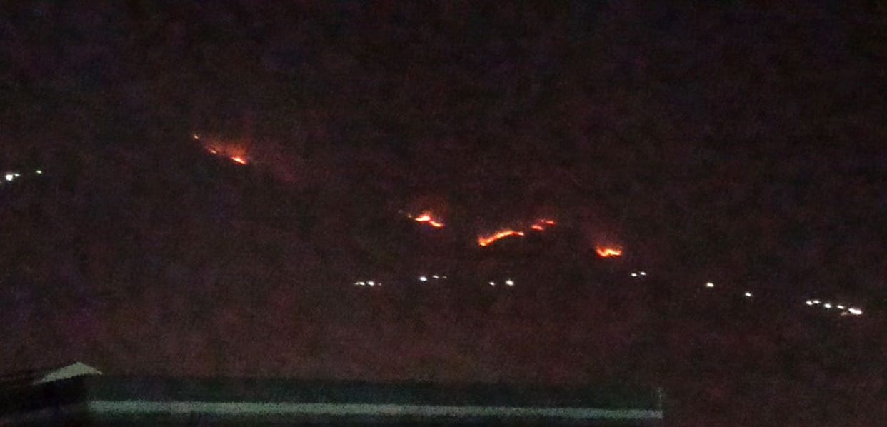 Forests of Kirtinagar range burning for three days