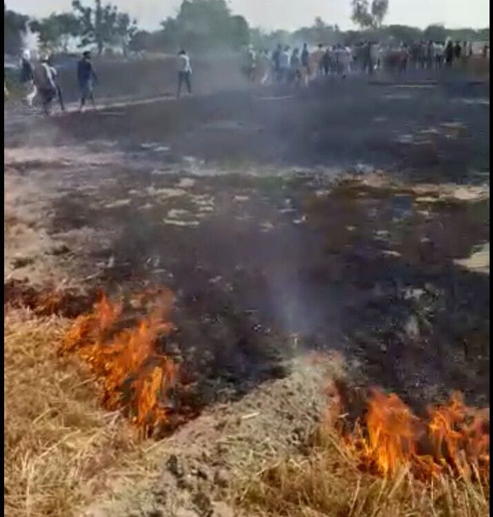 33 bigha crop destroyed by mistake of honey extractors