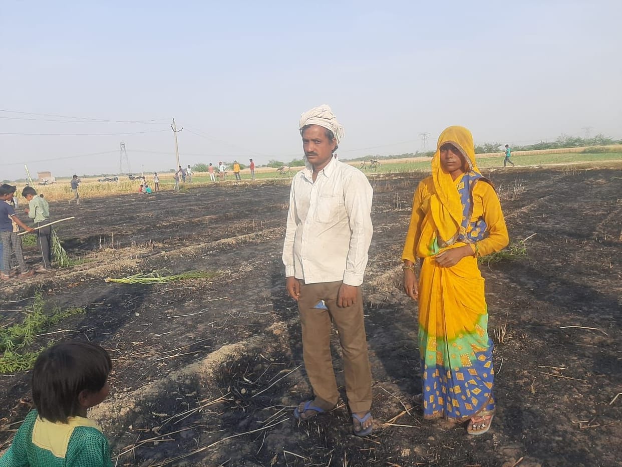 Three bighas of wheat crop burnt due to fault due to power line