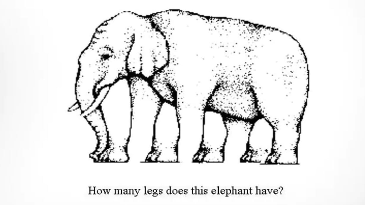 optical illusion four legs and five feet impossible elephant people are confused on social media
