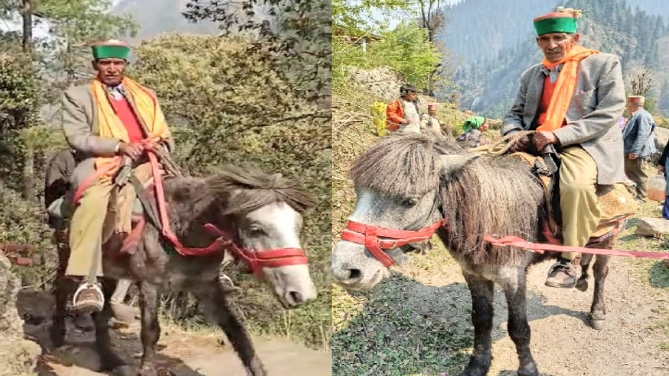 Patient First carried 25 km on a chair to the hospital, then taken home on horse