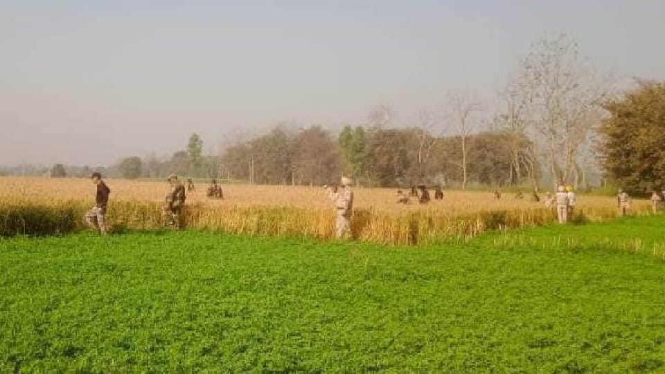 Border Security Force Fired on Drone in Gurdaspur of Punjab
