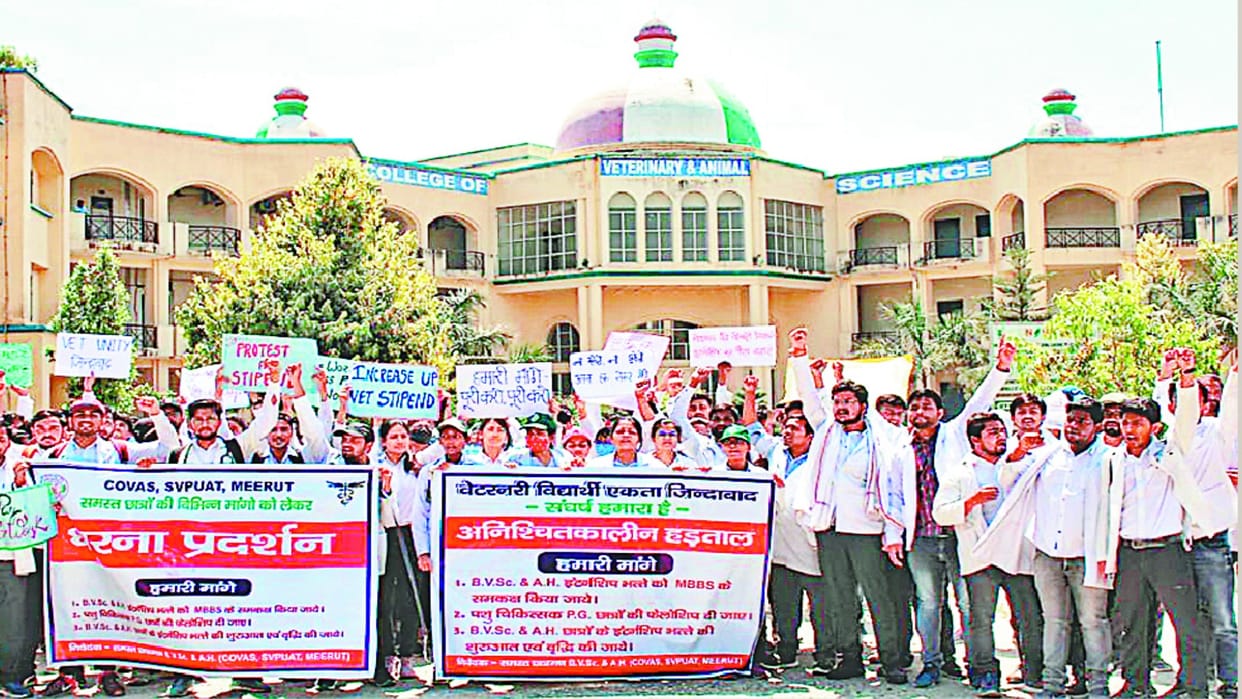 Meerut: veterinary students on protest asks for increased intern stipend