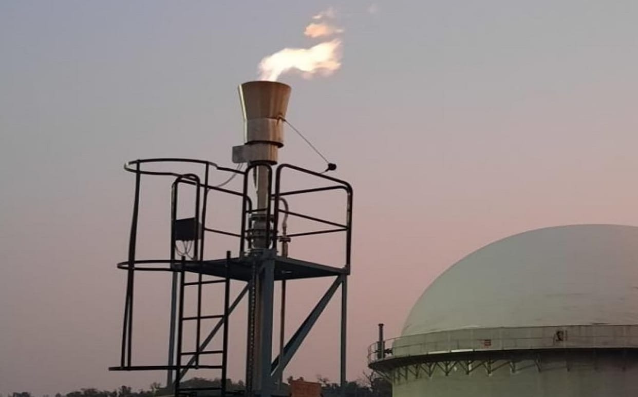 Petrol Alternative: NITI Aayog Exploring Possibility Of Bio CNG From Cow Dung, Work Is Being Done On Roadmap