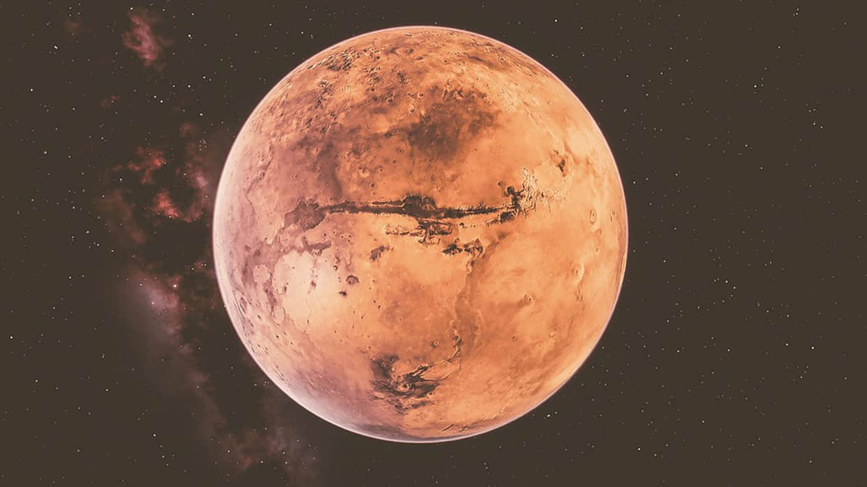 Life on Mars: NASA curiosity rover finds dragon bone-like structure on Mars with bizarre images causing stir