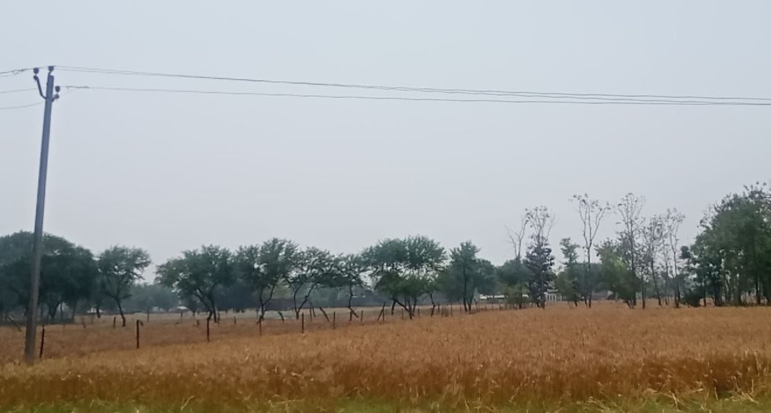 cable fault,crop,electeic