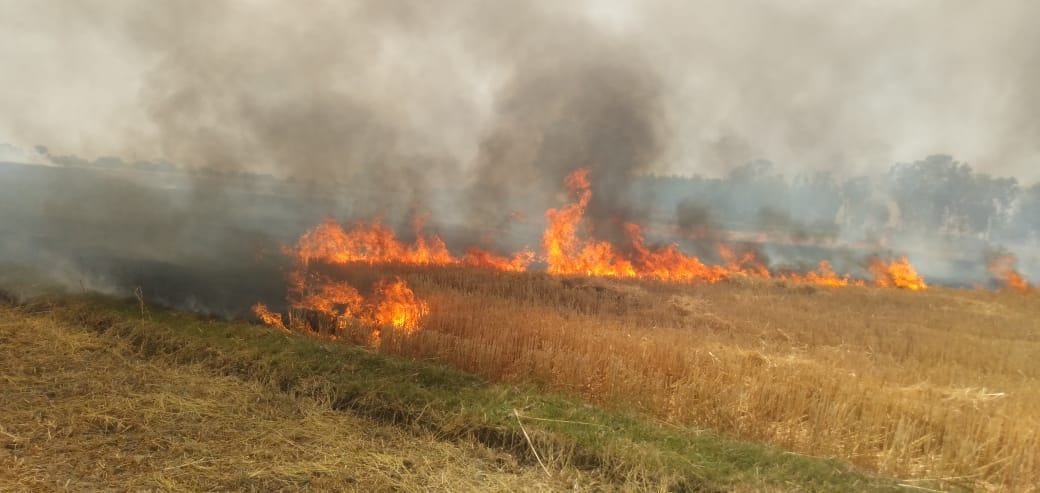 fire,police,SDM,crops,team