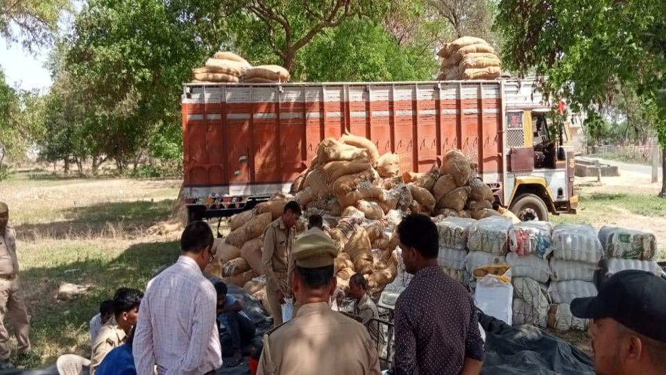 UP STF caught ganja worth Rs three crore in Agra