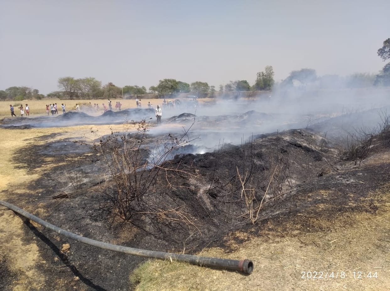 Wheat, pea, lentil crops burnt to ashes