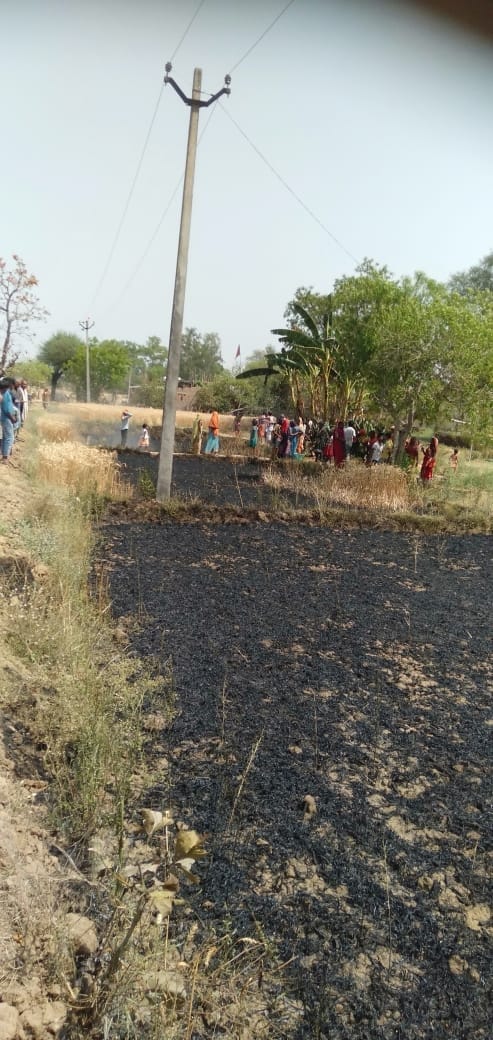 Six goats died due to fire, goods ashes