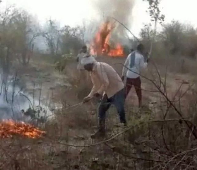 The fire reached the forest of Kali Ghati