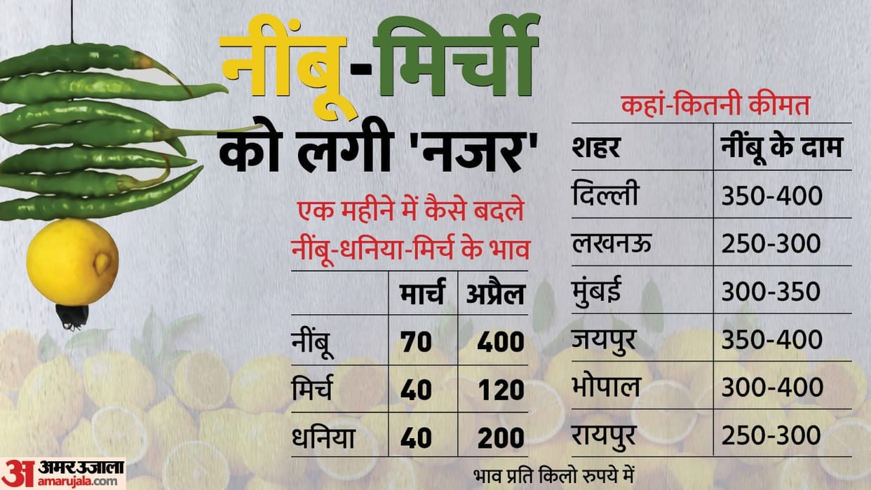Prices of Lemon and Chilli rise more than twice in a month know how it is affecting Pocket and reason behind expensiveness Oil Prices Supply Demand news in hindi