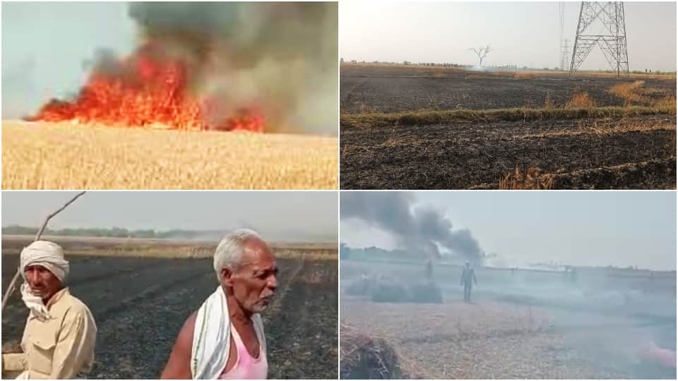 Fire destroys 600 Bigha wheat crop in Mainpuri