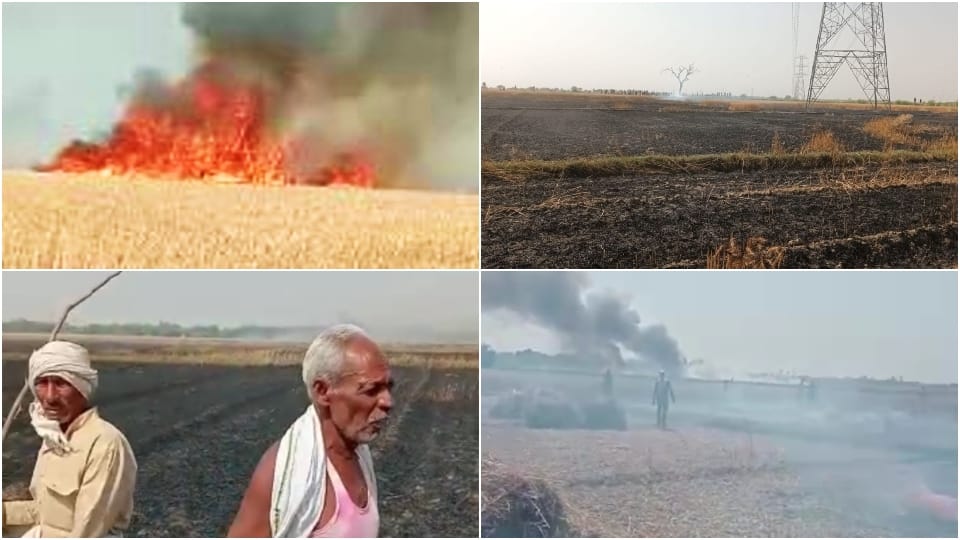 Fire destroys 600 Bigha wheat crop in Mainpuri