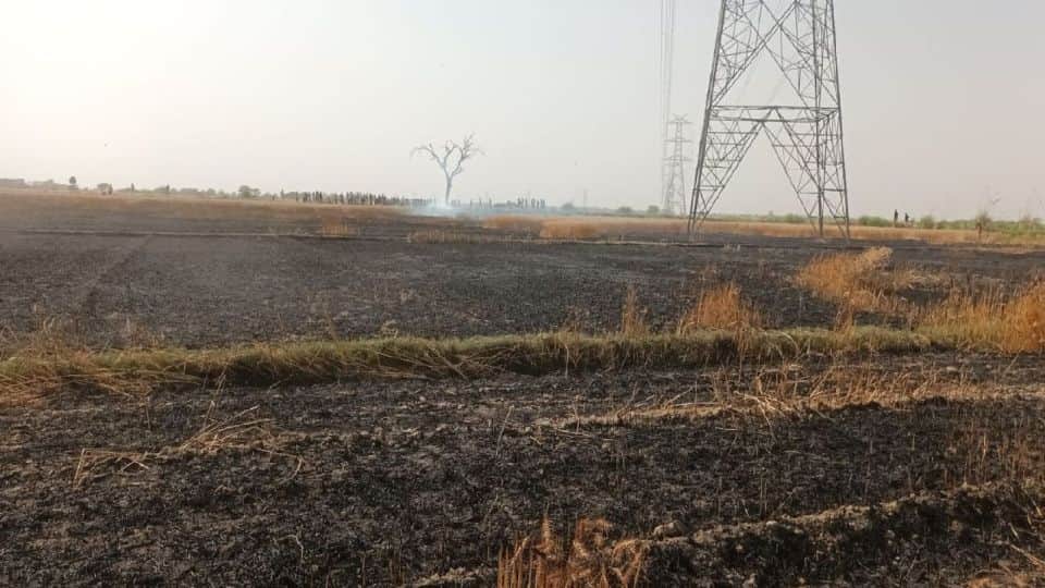 Fire destroys 600 Bigha wheat crop in Mainpuri
