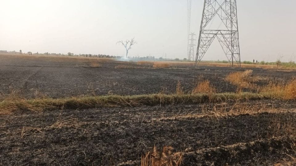 Fire destroys 600 Bigha wheat crop in Mainpuri
