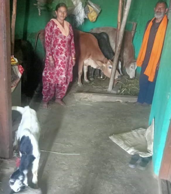 Family living in one room with cattle for thirty years