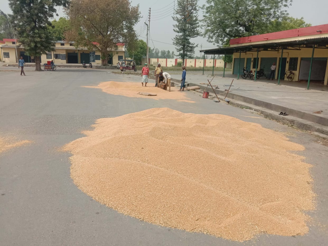 Wheat will go from Puranpur to Kandla port, now getting full price