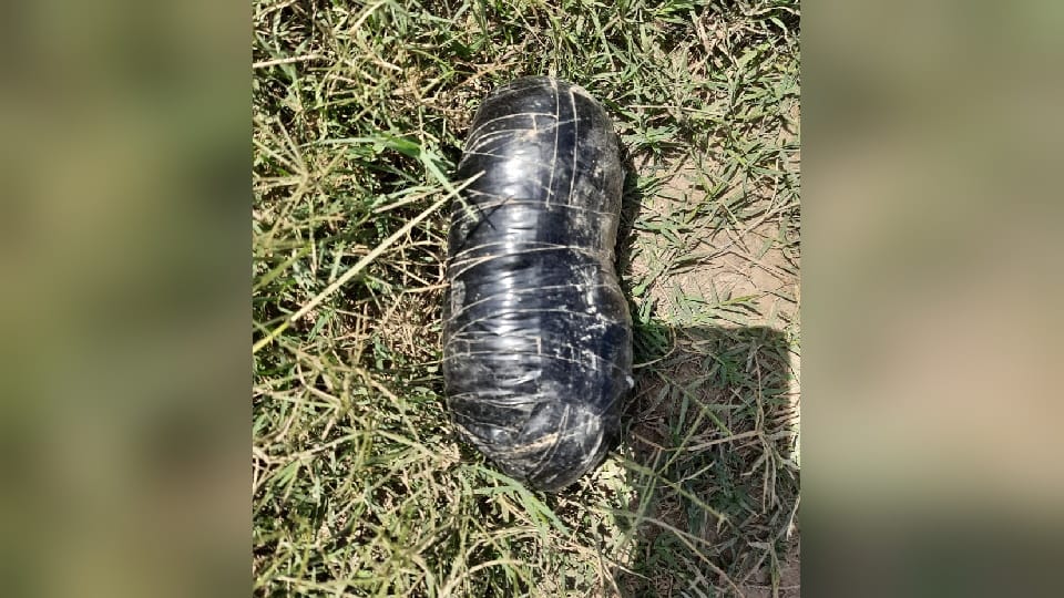 Two Women arrested with heroin by border security force in Firozpur