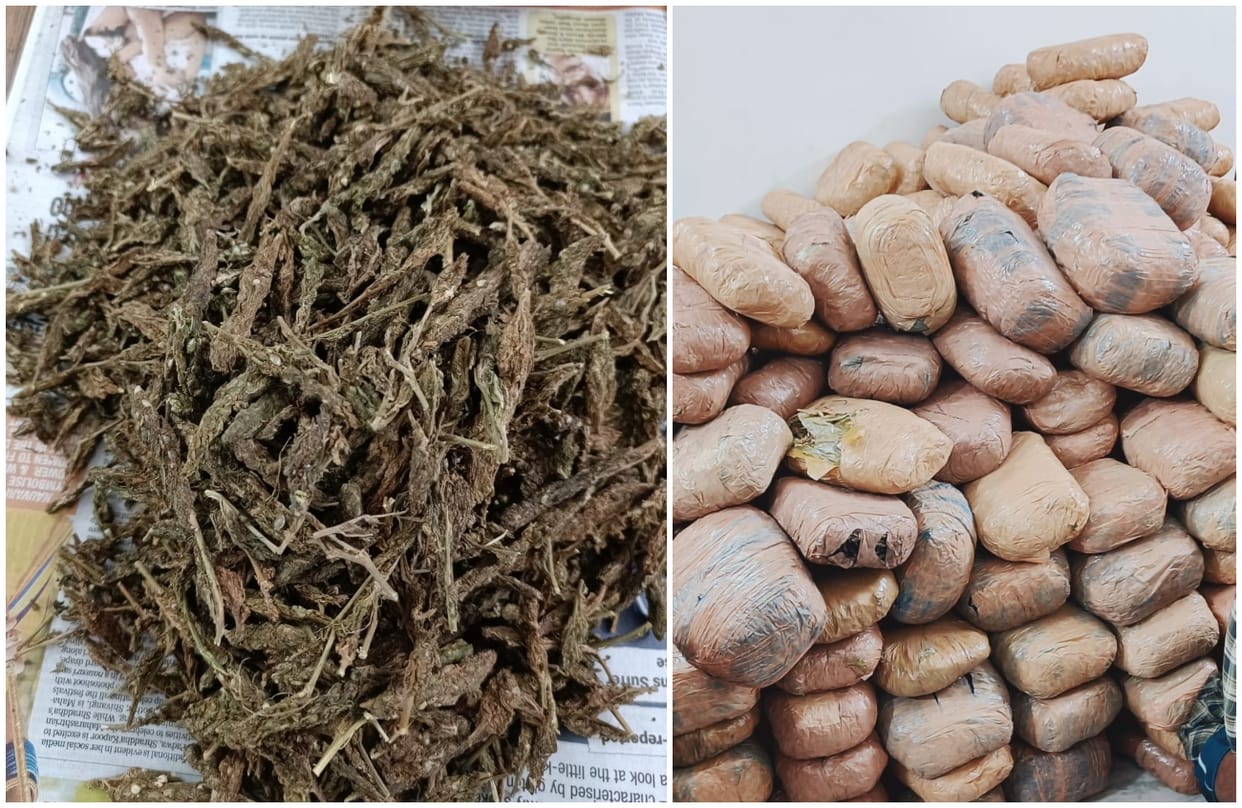 DRI varanasi team caught five quintals ganja packets were hidden under sponge iron in  truck