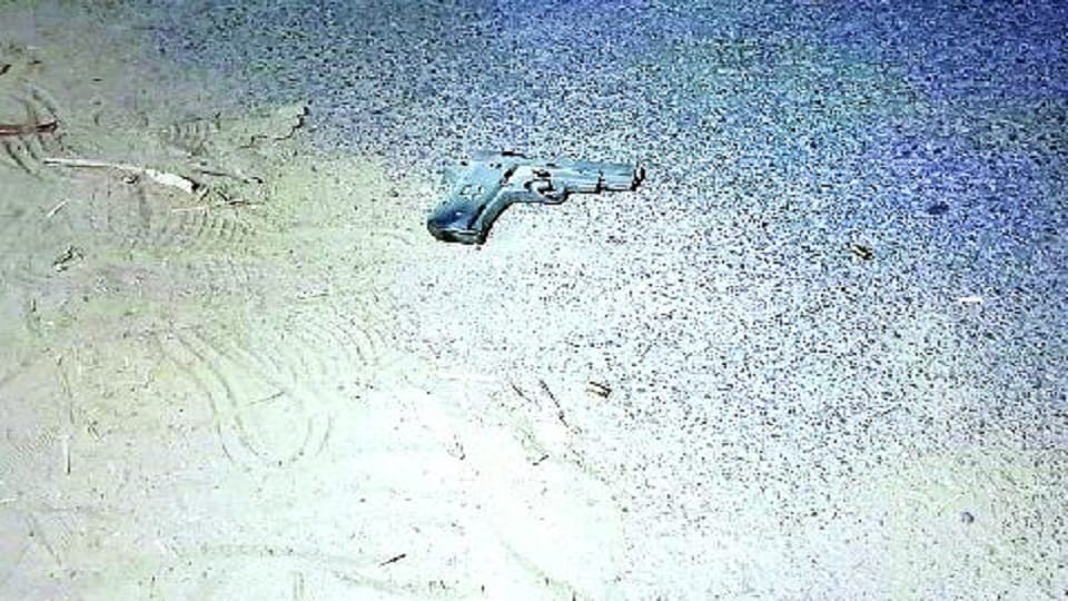 Police shot the miscreant rewarded for looting in the encounter