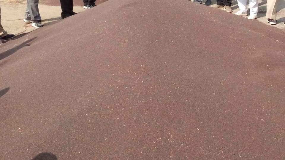 Price of wheat and mustard more than MSP In Haryana