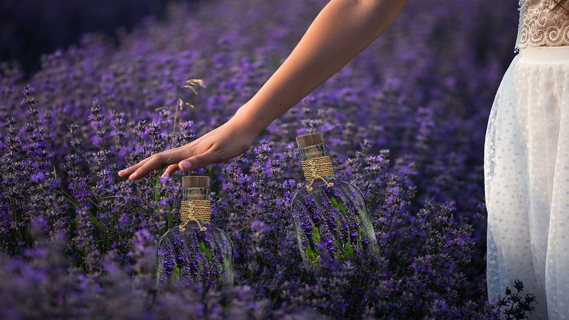 Scientist Discovered World's Most Popular Fragrance News in Hindi