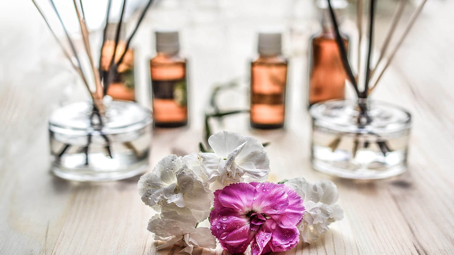 Scientist Discovered World's Most Popular Fragrance News in Hindi