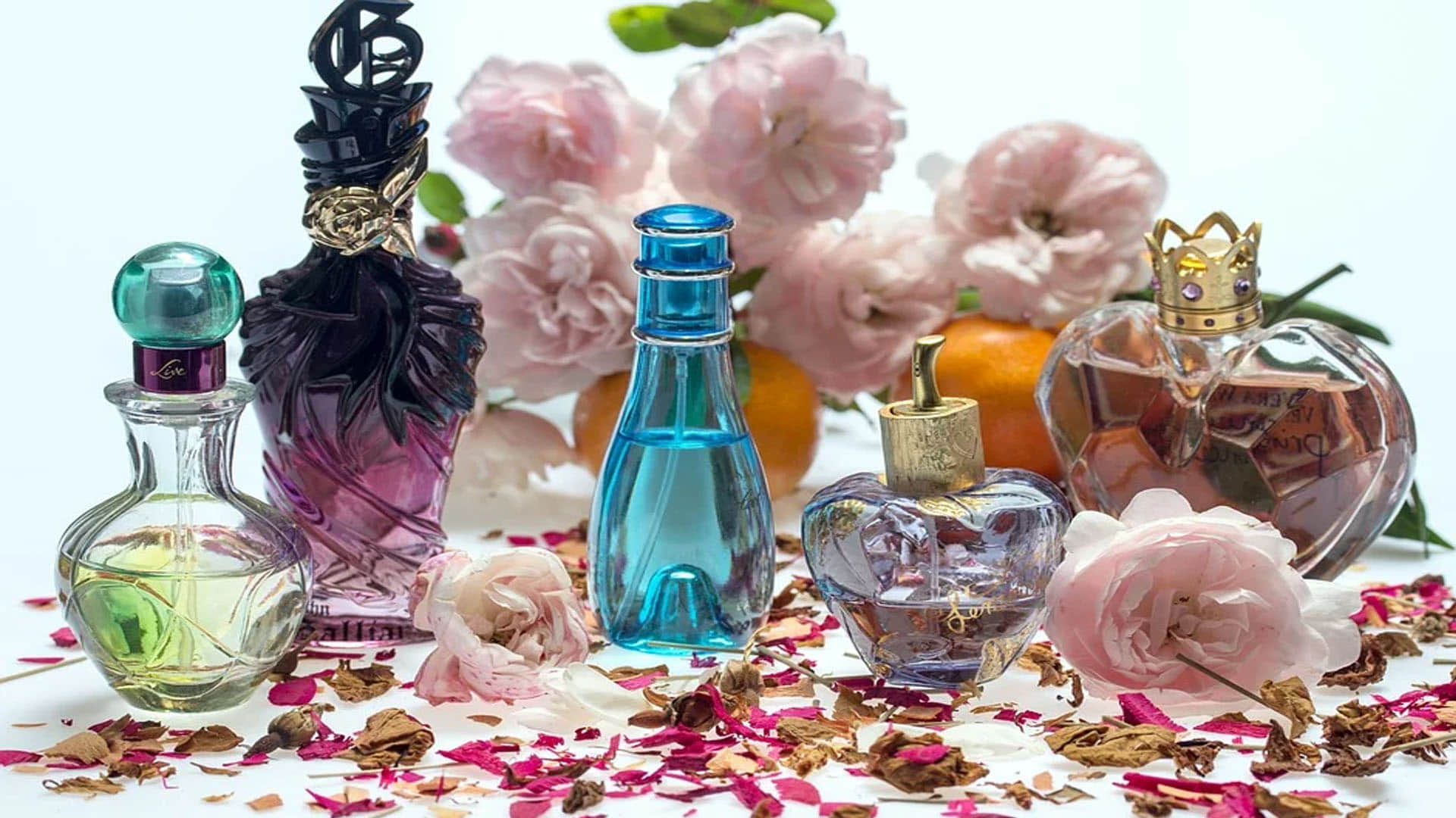 Scientist Discovered World's Most Popular Fragrance News in Hindi