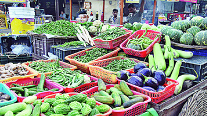 Dehradun: फसल उगाने के लिए अब जमीन जोतने की नहीं होगी जरूरत, इस प्रयोग से तैयार की गई है सब्जियां सब्जियां