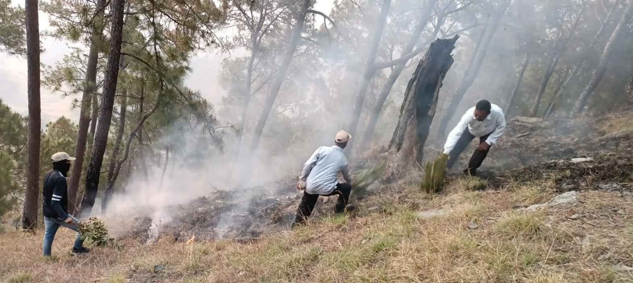 Forest Fire in Bageshwar
