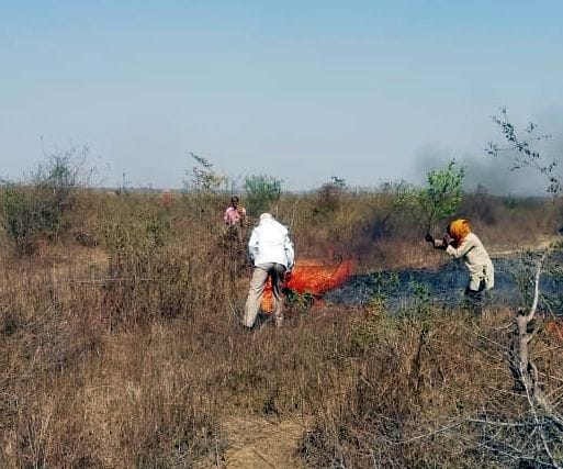 Fire in Manpur forest, firefighters engaged in extinguishing