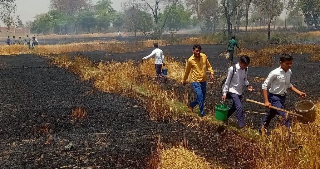 Kanpur dehat : 44 bighas of wheat and tur crop ashes due to fire, accountants surveyed the damage
