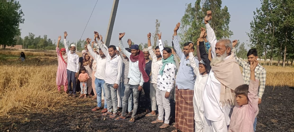 Four bighas of wheat crop burnt due to breaking of power line wire