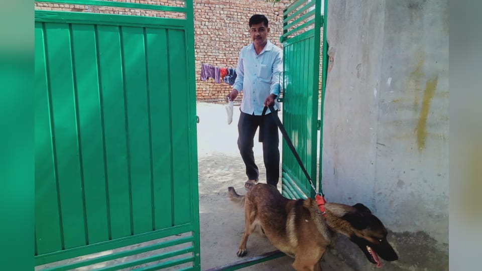 Search operation conducted by police in Fatehabad city regarding drugs